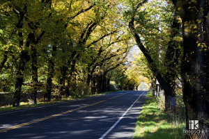 Calistoga_0094