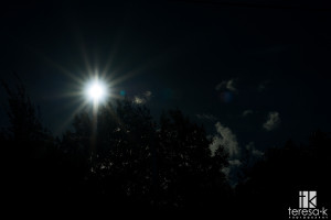 sunstar