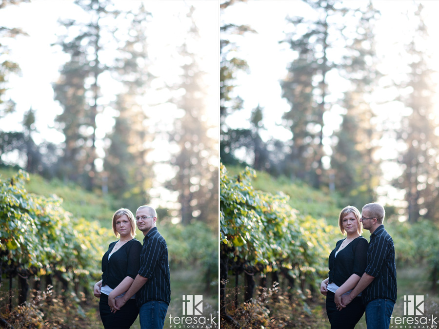 winery engagement in apple hill