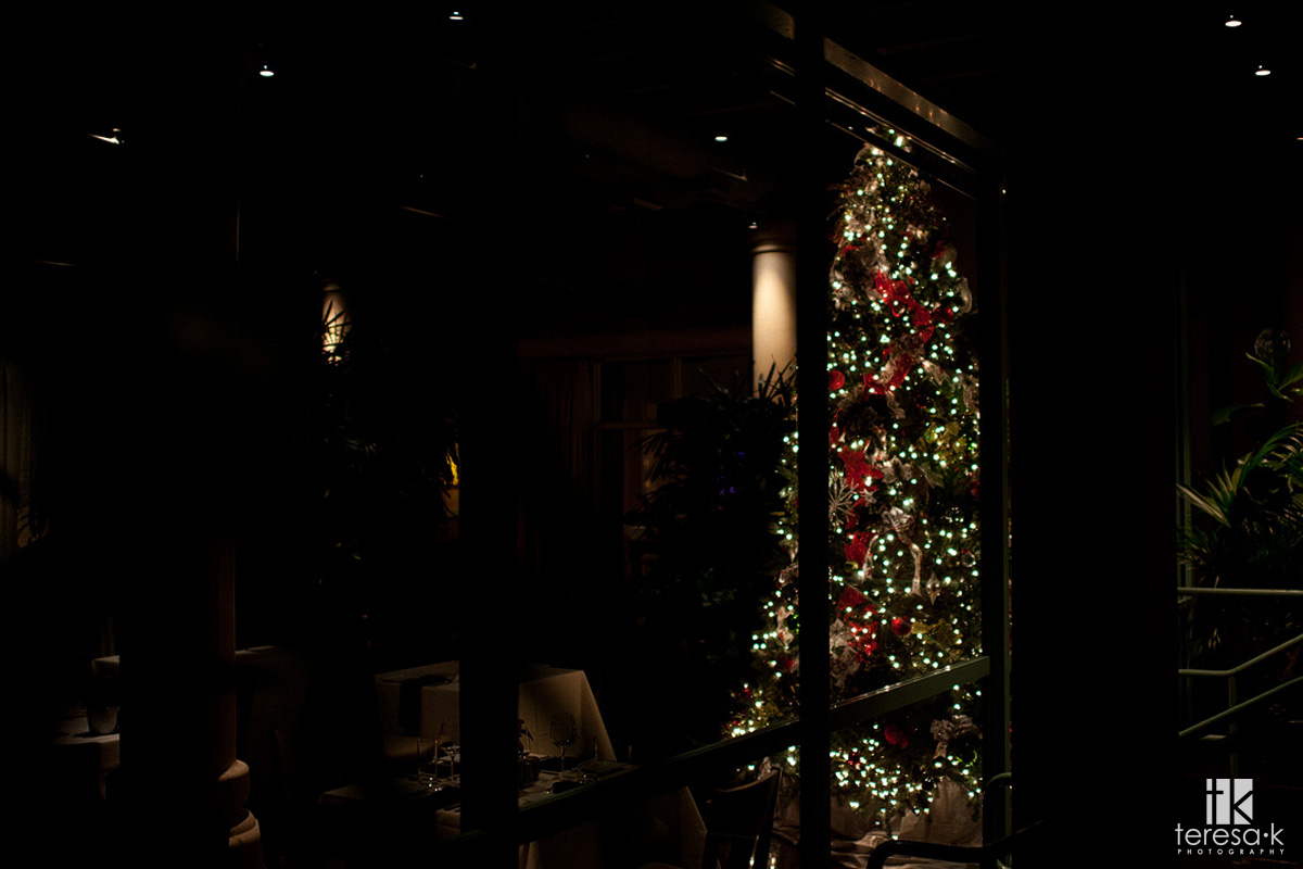 Arden Hills Resort Club Wedding by Sacramento Wedding photographer Teresa K Christmas wedding at Arden hills country club