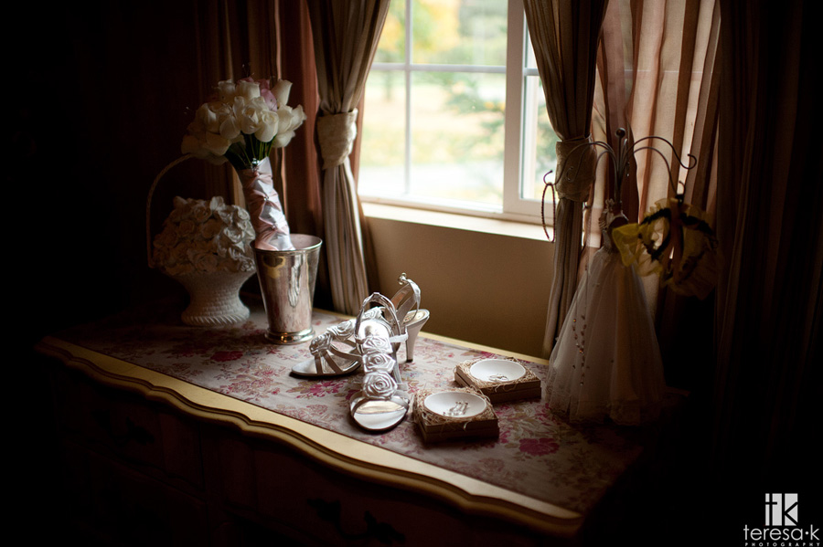 Sacramento area wedding and portrait photographer best of 2011 best in Sacramento