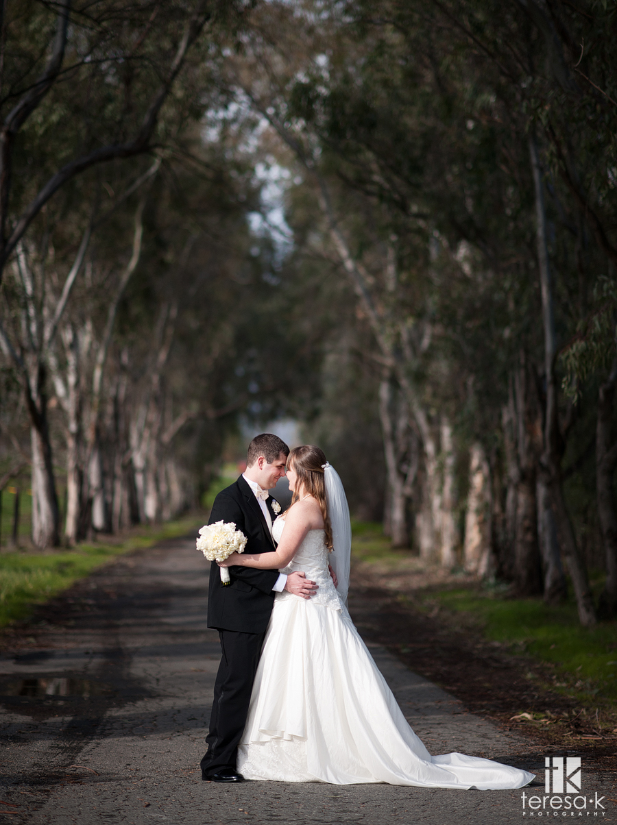 Sacramento area wedding and portrait photographer best of 2011 bride and groom on a road