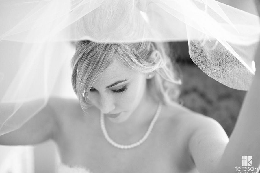Sacramento area wedding and portrait photographer best of 2011 gorgeous bride under veil