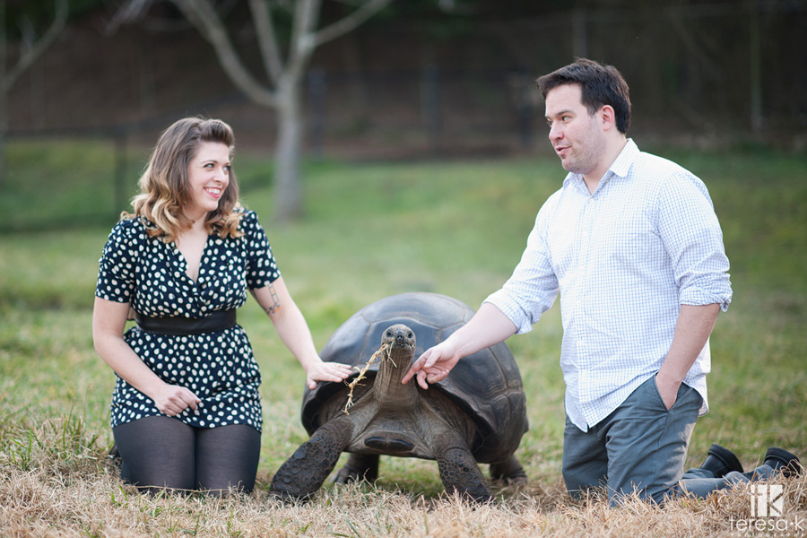 Oakland Engagement Session by Teresa K photography engaged couple petting a tortoise
