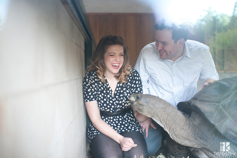 Oakland Engagement Session by Teresa K photography images from an engagement session at the Oakland zoo