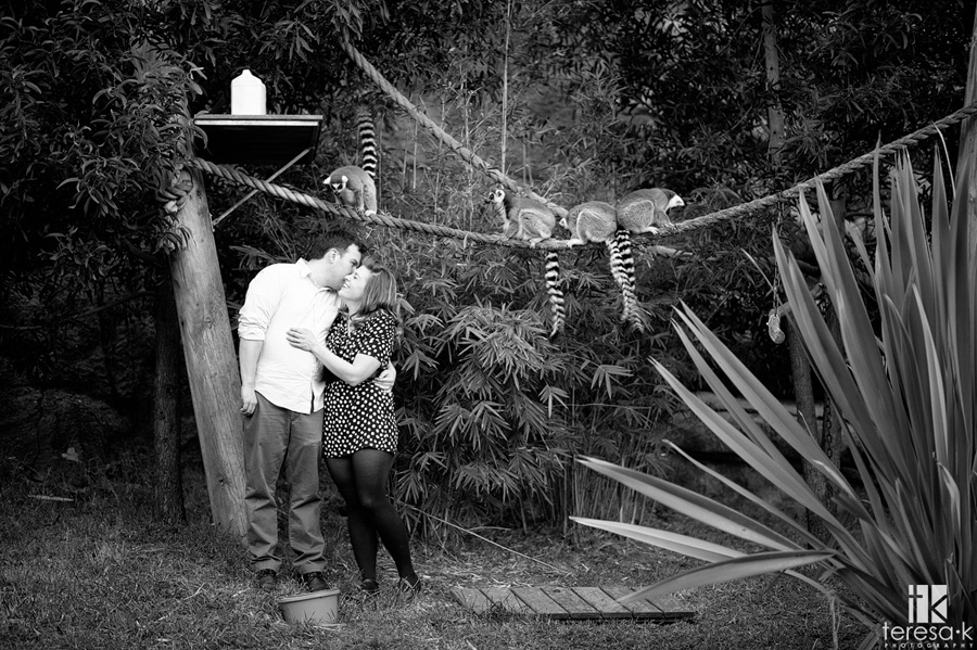 Oakland Engagement Session by Teresa K photography zookeeper and her fiancé and the Oakland zoo